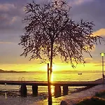 By The Center * Zadar